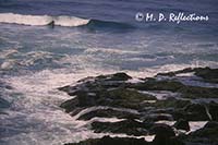 Ocean waves, Cape Perpetua, OR