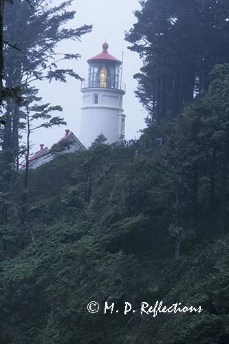 Heceta Head Light, OR