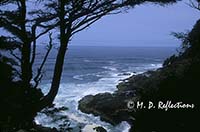 Coastline at Cape Perpetua, OR