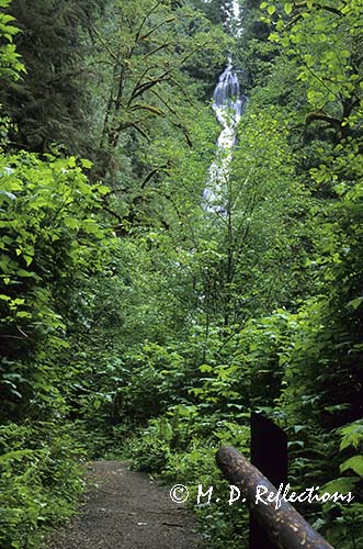 Munson Falls, OR