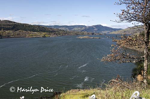 Columbia River near Chamberlain Lake, WA