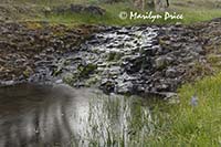 Cascade and creek, Catherine Creek, near Lyle, WA
