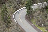 Bicyclist races down the winding road from Rowena Plateau, OR