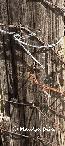 Old and new barbed wire around a fence post