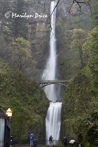 Multnomah Falls, Columbia River Gorge, OR