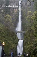 Multnomah Falls, Columbia River Gorge, OR