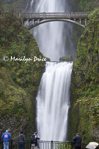 Multnomah Falls, Columbia River Gorge, OR