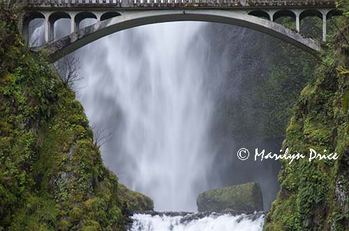 Multnomah Falls, Columbia River Gorge, OR