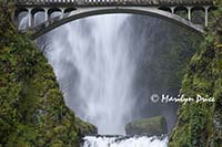 Multnomah Falls, Columbia River Gorge, OR