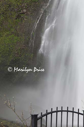 Multnomah Falls, Columbia River Gorge, OR