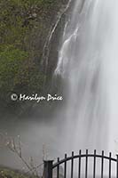Multnomah Falls, Columbia River Gorge, OR