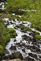 Cascades in stream below Wahkeena Falls, Columbia River Gorge, WA