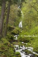 Wahkeena Falls, Columbia River Gorge, WA
