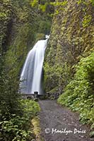 Wahkeena Falls, Columbia River Gorge, WA