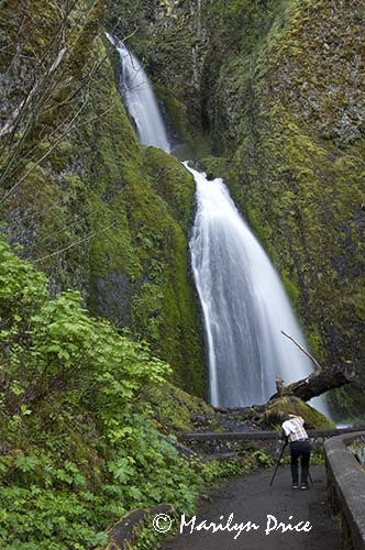 Wahkeena Falls, Columbia River Gorge, WA