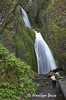 Wahkeena Falls, Columbia River Gorge, WA