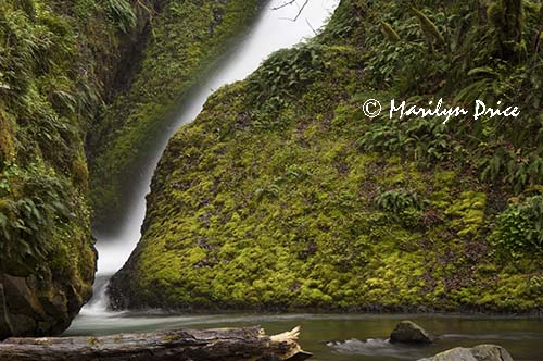 Bridal Veil Falls, Columbia River Gorge, OR