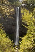 Latourrell Falls, Columbia River Gorge, OR