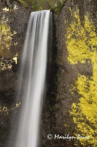 Latourrell Falls, Columbia River Gorge, OR