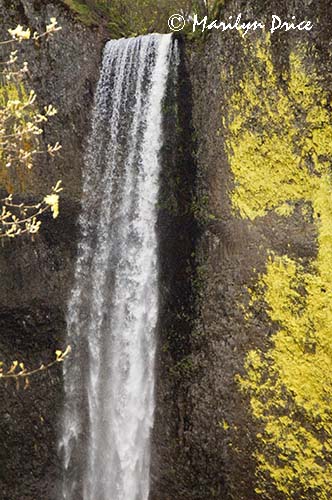 Latourrell Falls, Columbia River Gorge, OR