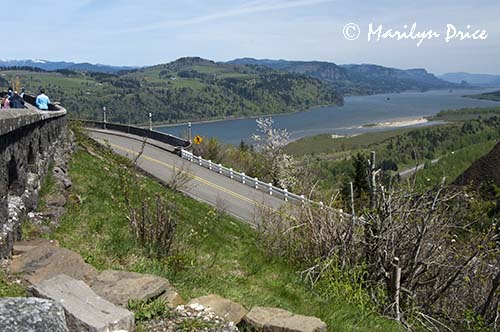 Looking east (upstream) on the Columbia River from Vista Point, Columbia River Gorge, OR