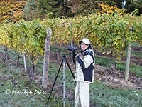 Marilyn shooting in the autumn vineyards of Elk Cove Winery, OR