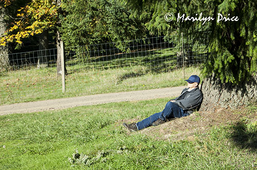 Carl enjoys the sunshine, WillaKenzie Winery, OR