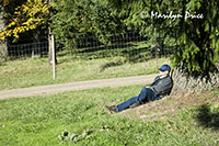 Carl enjoys the sunshine, WillaKenzie Winery, OR
