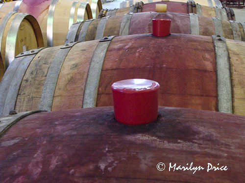Wine aging in casks, Maysara Winery, OR