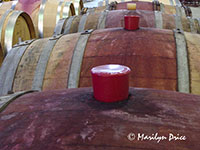 Wine aging in casks, Maysara Winery, OR