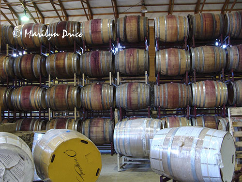 Wine aging in casks, Maysara Winery, OR