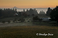 Mt. Hood above the autumn valley