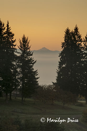 Sunrise from Sokol Blosser Winery, OR