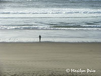 Carl and the Pacific Ocean from our hotel room, Lincoln City, OR