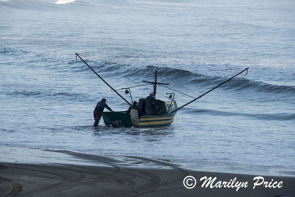 Launching a dory boat, Cape Kiwanda, OR