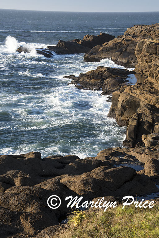 Coastline and waves, Boiler Bay, OR