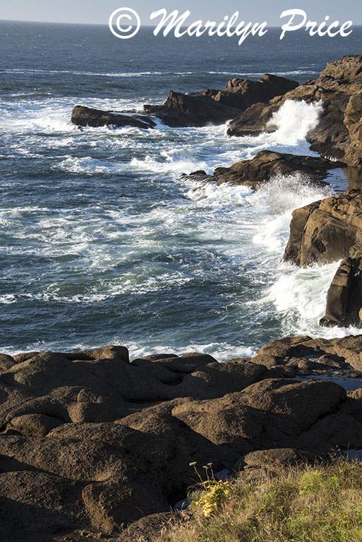 Coastline and waves, Boiler Bay, OR