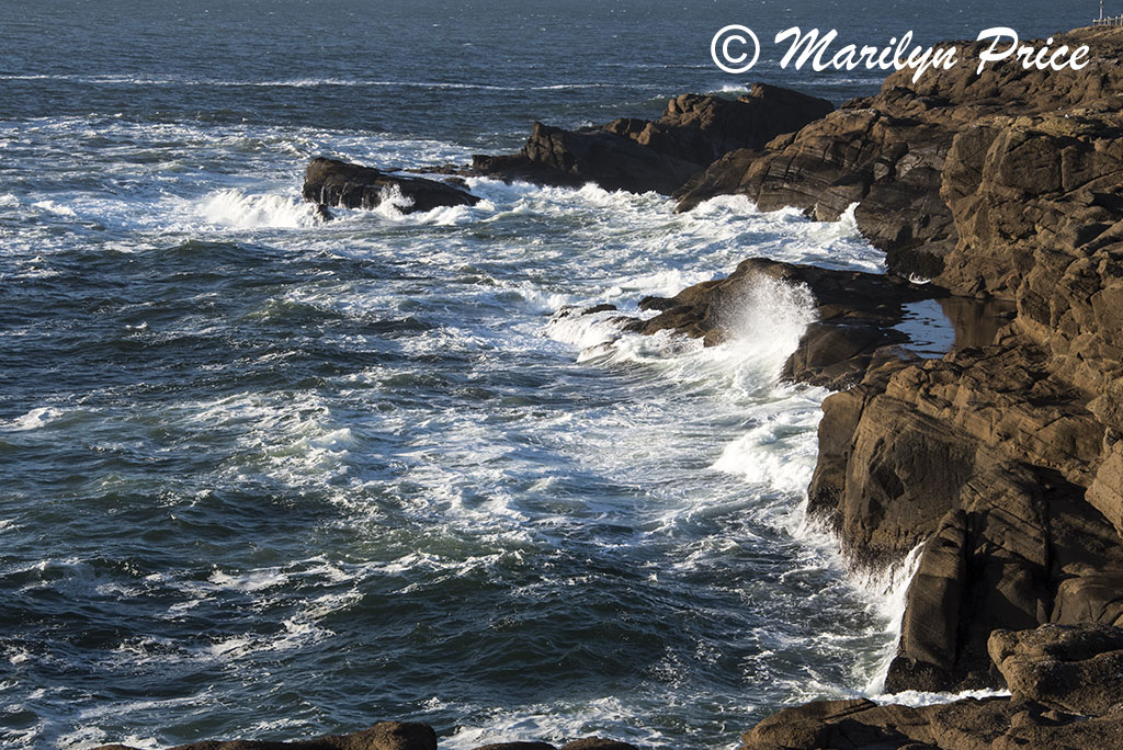Coastline and waves, Boiler Bay, OR