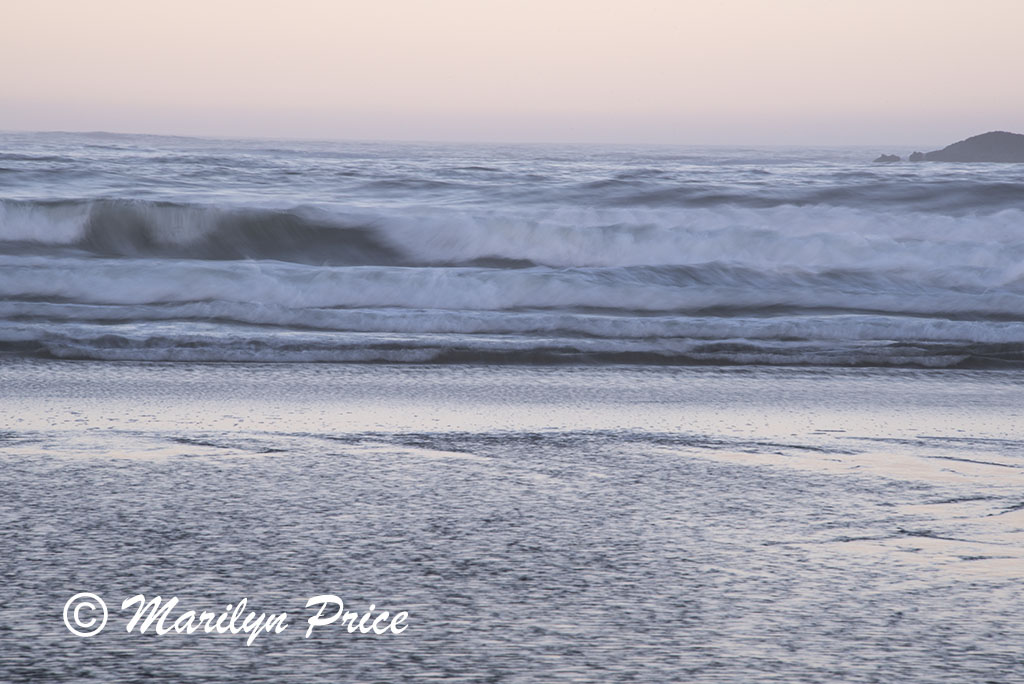 Waves, Beverly Beach, OR