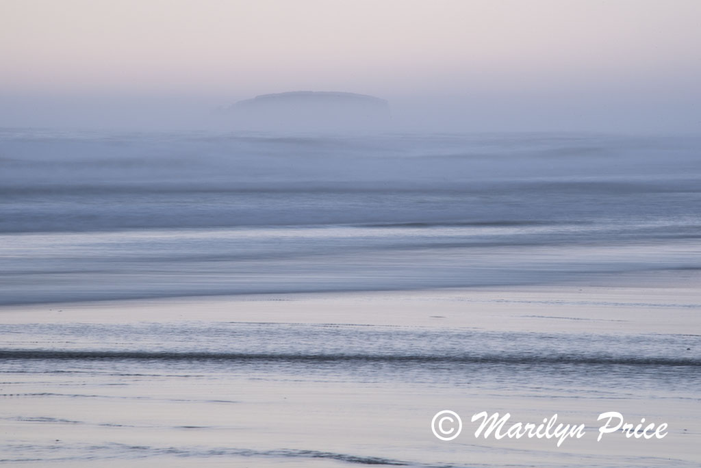 Waves, Beverly Beach, OR