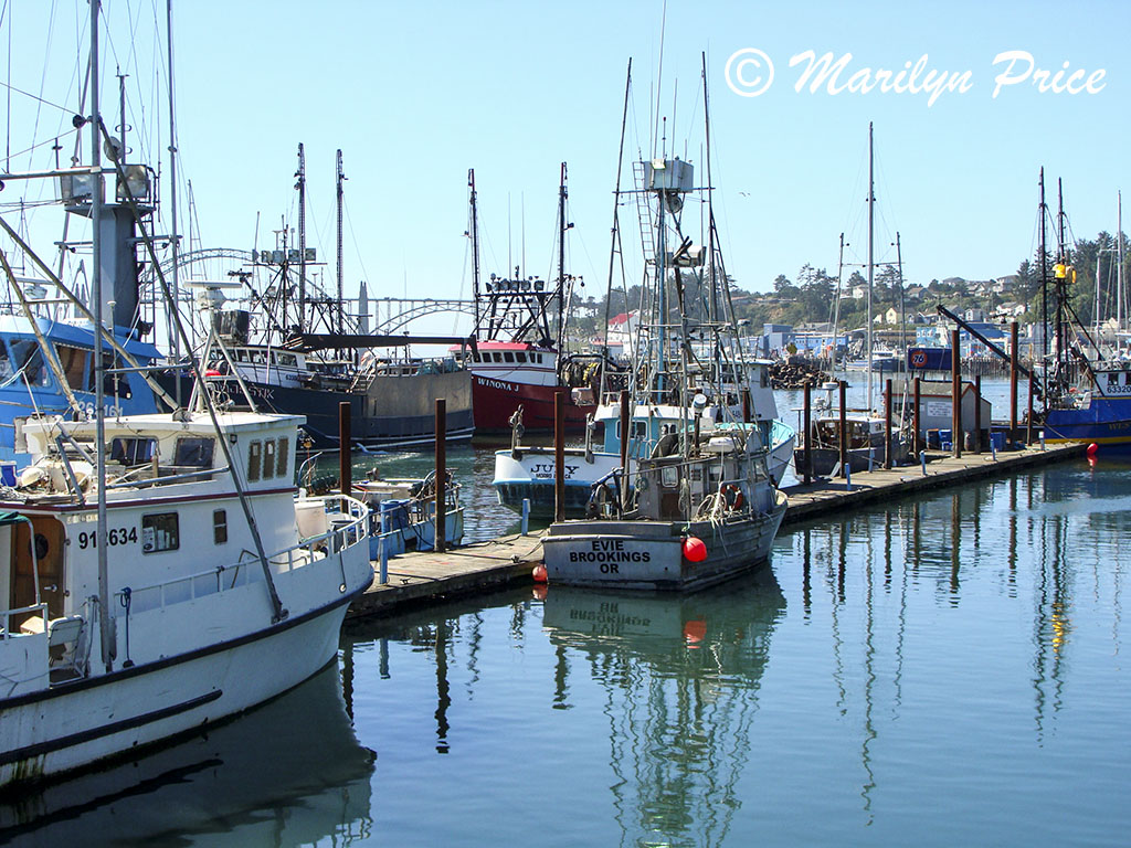 Fishing boats at the dock with bridge in background, Yaquina Bay, Newport, OR
