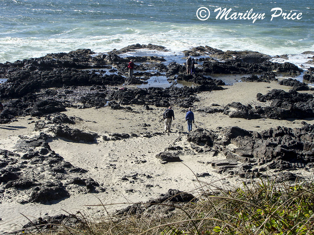 Bill and Marilyn approach Thor's Well, Cape Perpetua, OR