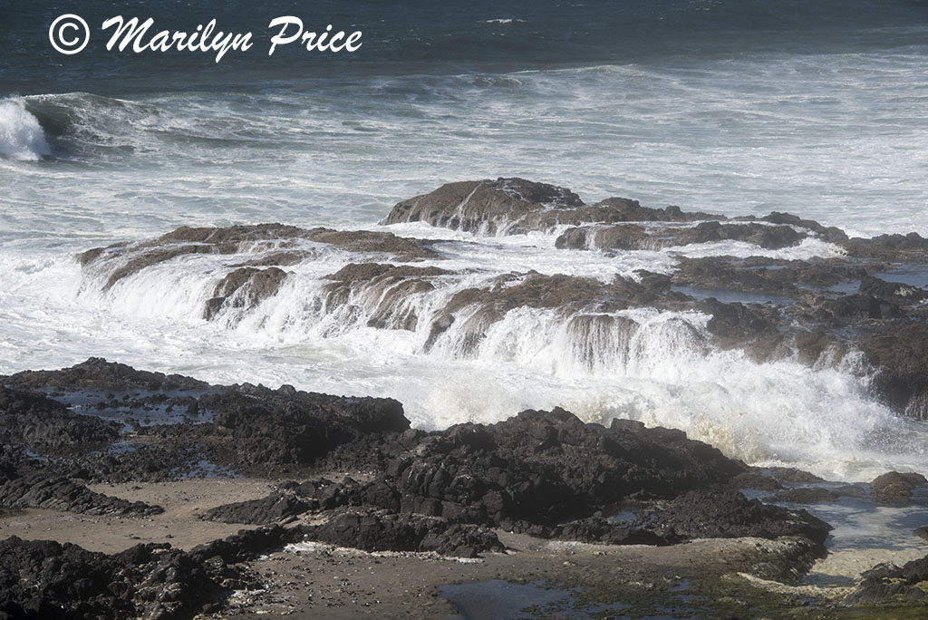 Waves, Cape Perpetua, OR
