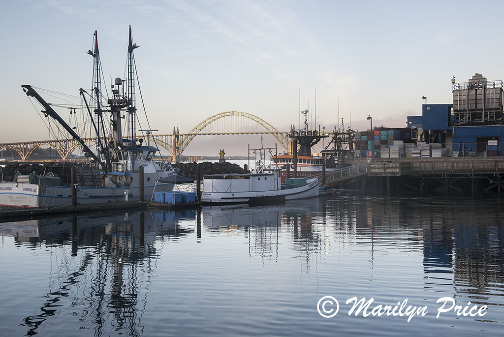 Fishing boats in Yaquina Bay harbor with bridge in background, Newport, OR
