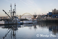 Fishing boats in Yaquina Bay harbor with bridge in background, Newport, OR