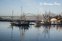 Fishing boats in Yaquina Bay harbor with bridge in background, Newport, OR