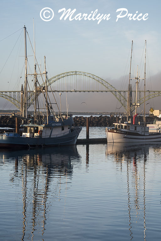 Fishing boats in Yaquina Bay harbor with bridge in background, Newport, OR