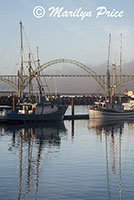 Fishing boats in Yaquina Bay harbor with bridge in background, Newport, OR
