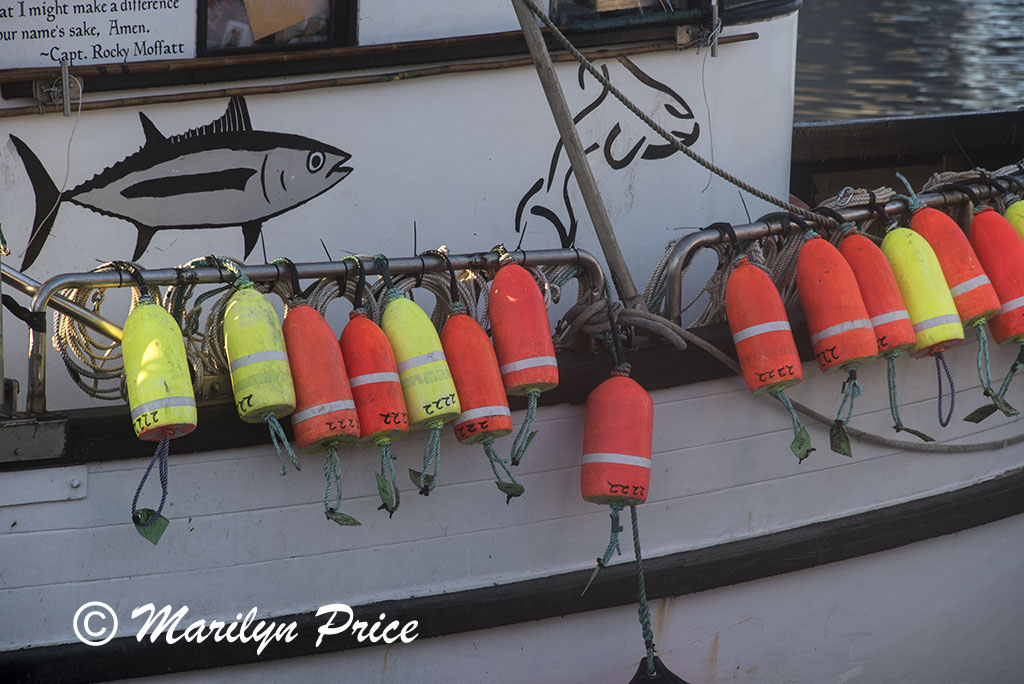 Floats on the side of a boat, Yaquina Bay harbor, Newport, OR