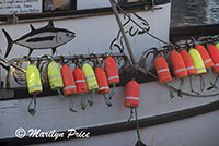 Floats on the side of a boat, Yaquina Bay harbor, Newport, OR